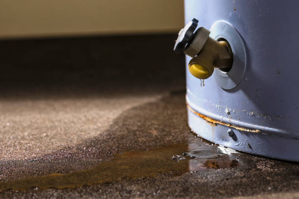 Best Water damage restoration experts  in West Point, UT