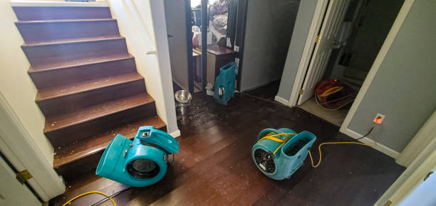 Water damage restoration experts in West Point, UT