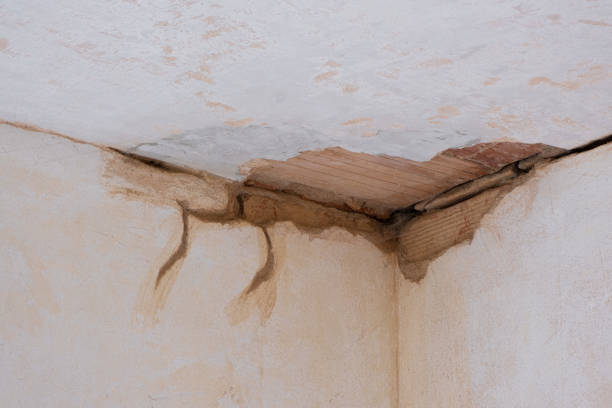 Sewage cleanup and water damage restoration in West Point, UT