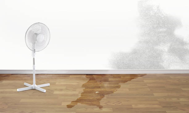 Best Water damage repair service  in West Point, UT
