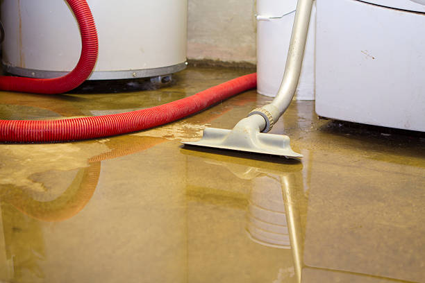 Sewage cleanup and water damage restoration in West Point, UT