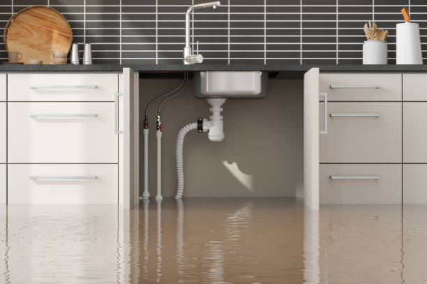 Best Water damage contractors near me  in West Point, UT