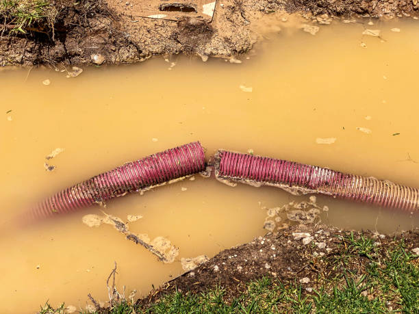 West Point, UT Water damage restoration Company